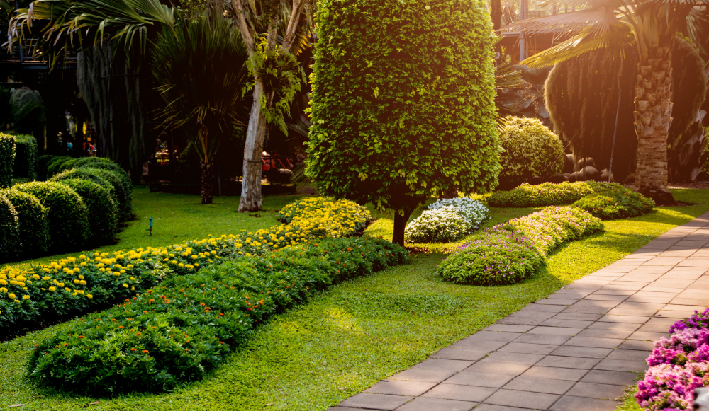 When Should I Fertilize My Lawn and Trees?