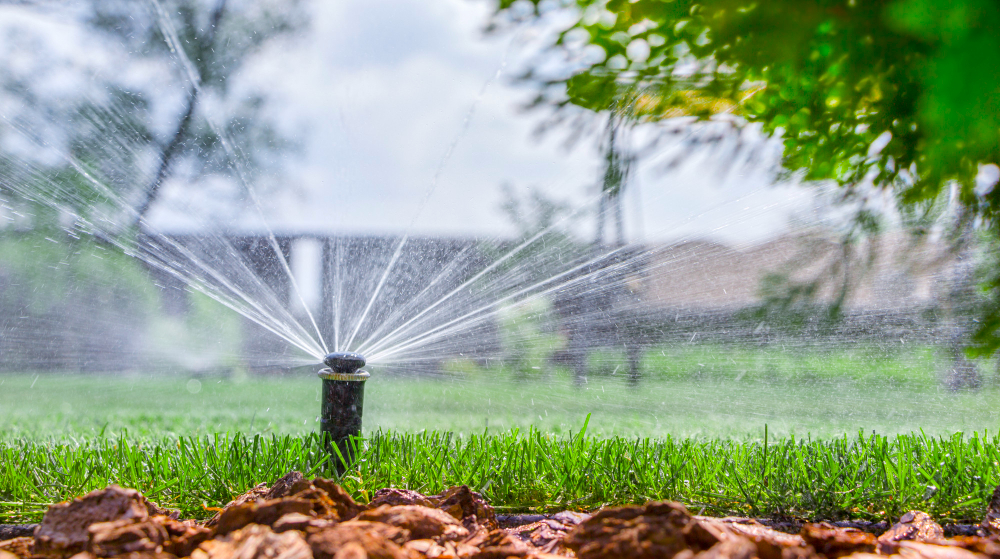 A guide to watering your lawn during Summer 2022 in Pittsburgh