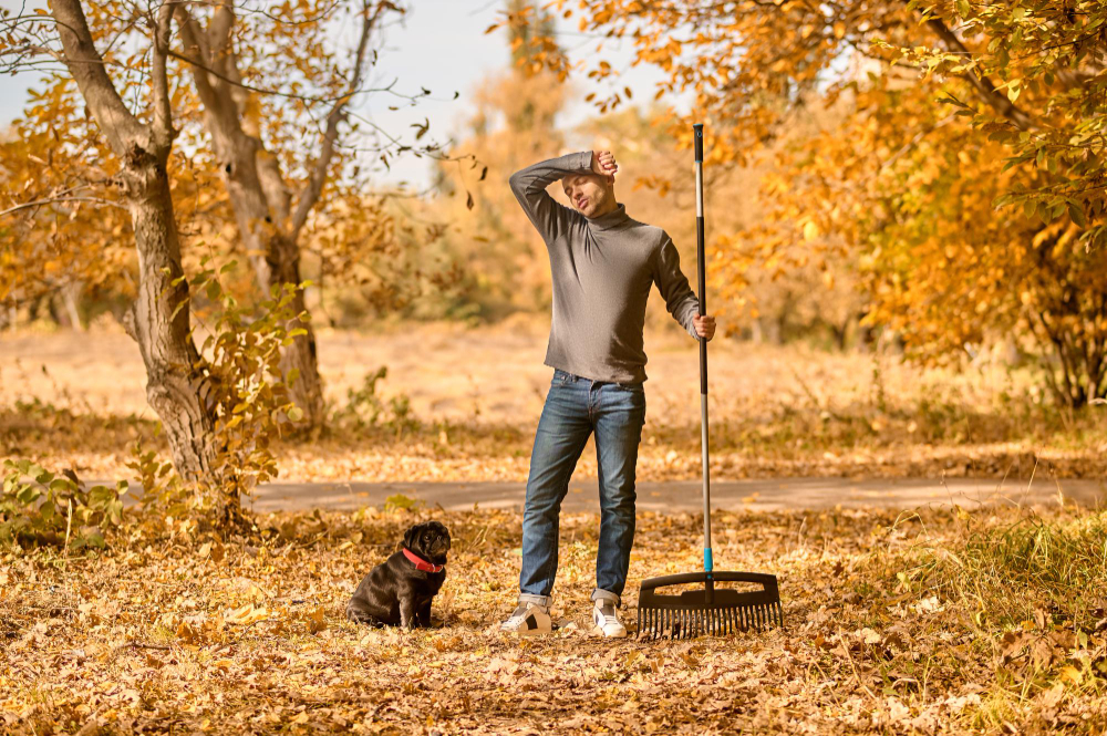 The Importance of Raking Leaves In Pittsburgh