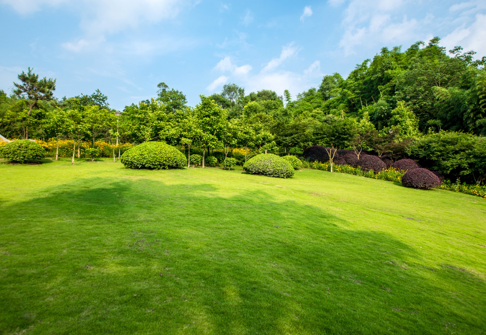 Winterize Your Lawn Before Jack Frost Knocks On Your Door!