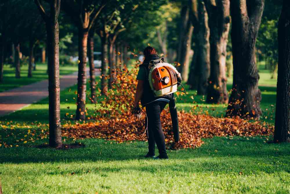 What’s the Lawn Care Lookin’ Like in Pittsburgh?