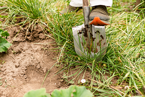 The Benefits of Mulching Your Lawn in the Pittsburgh Area