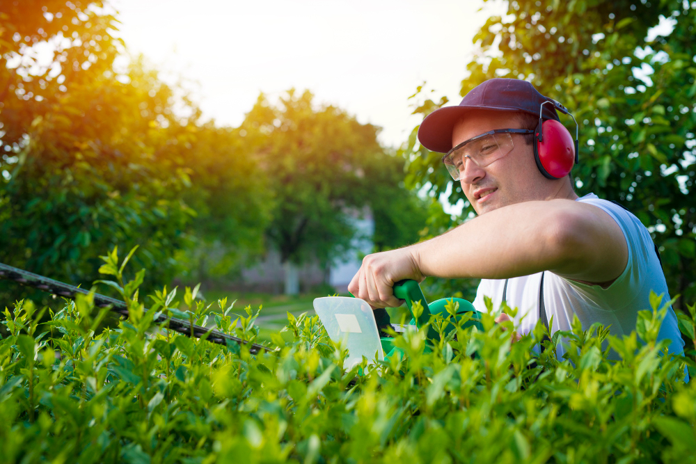 Green, Vibrant, & Flourishing: The Summer Lawn Care Advantage in Pittsburgh