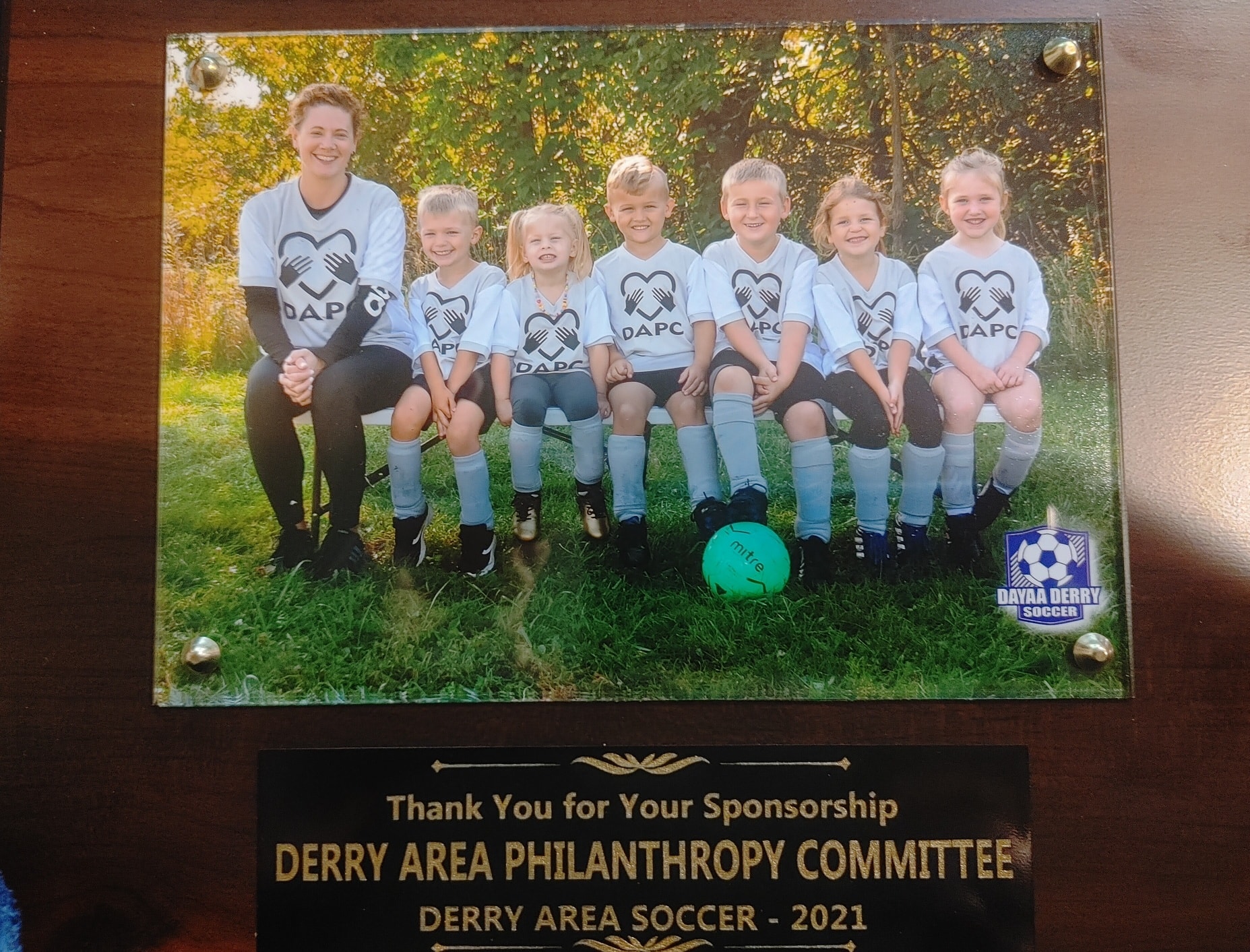 The DAPC is proud to sponsor youth sports programs