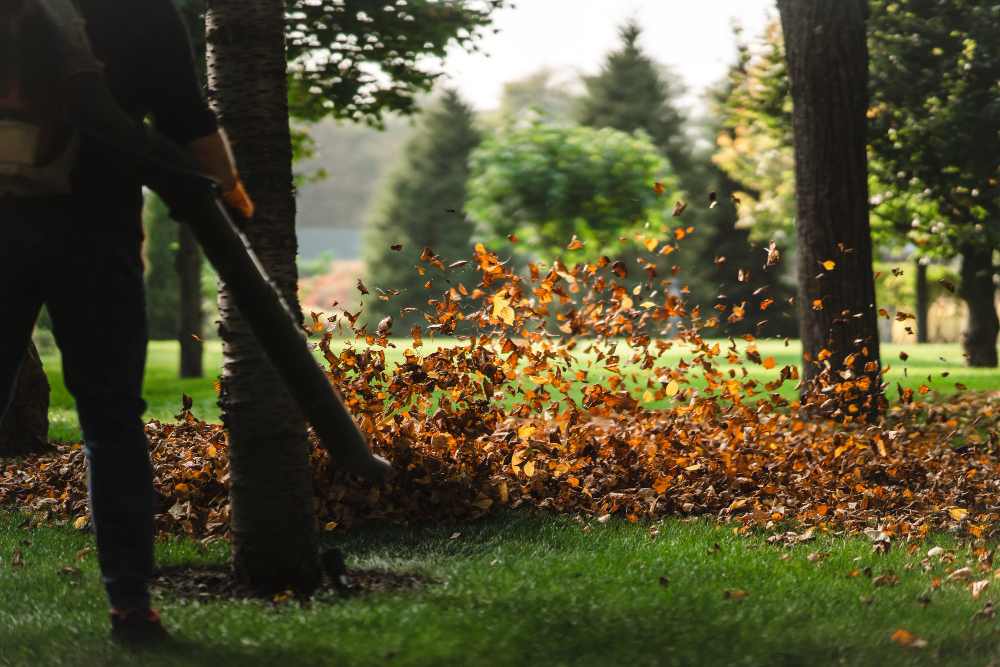 Preparing Pittsburgh Lawns for Winter: Essential Steps for a Lush Spring Return