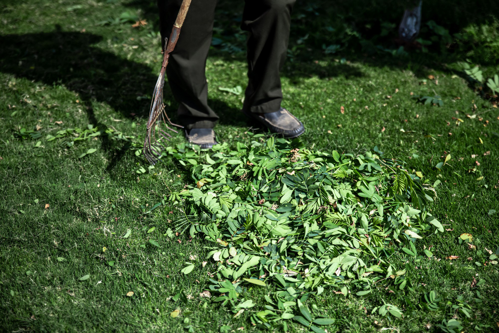 The Benefits of Professional Lawn Cleanup in Pittsburgh for Spring 2024