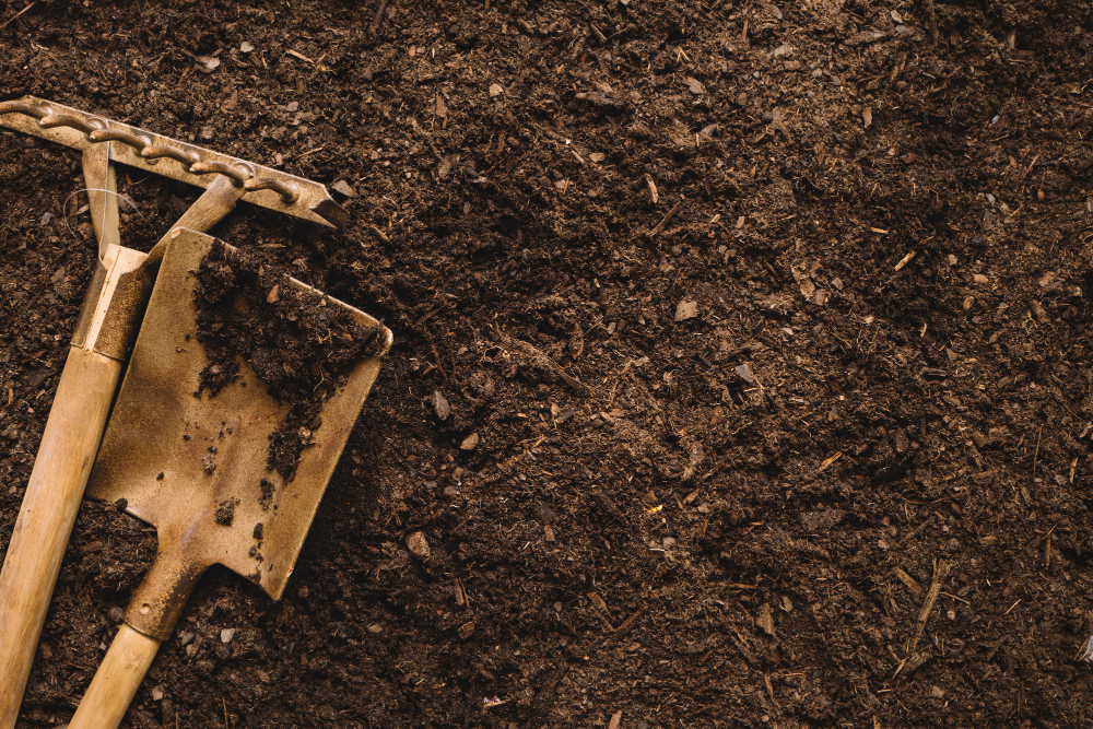 The Benefits of Professional Mulch Installation Services Around Pittsburgh