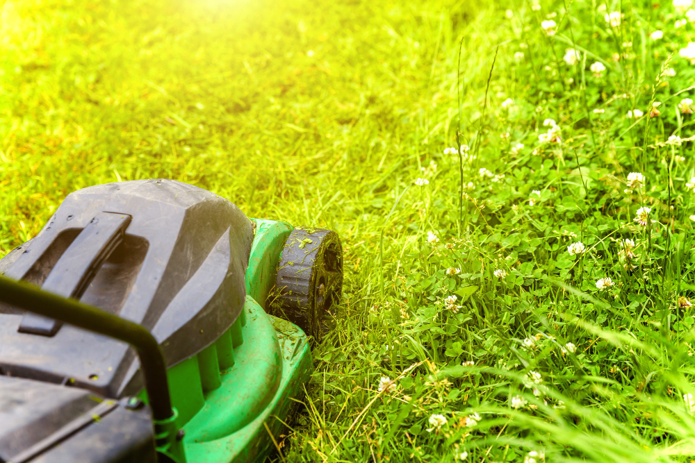 The Importance of Proper Lawn Care in Pittsburgh for Summer 2024