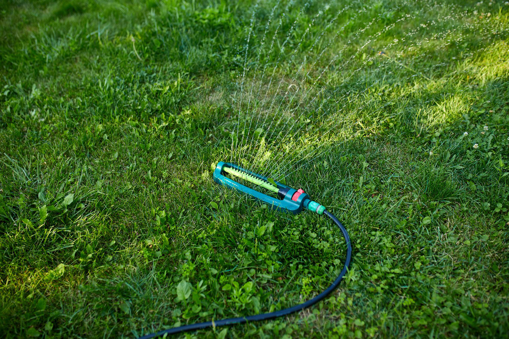 Keeping Your Pittsburgh Area Lawn Hydrated in Summer 2024