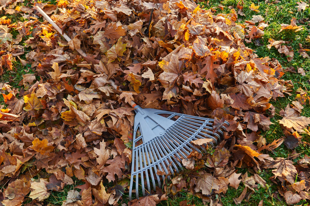 Why Hiring a Pittsburgh Lawn Care Professional Is Worth It for Fall 2024 Clean-Up